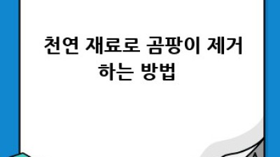 🏡 곰팡이 OUT! 대구 중구 서문로2가 청소 완전 정복 ✨