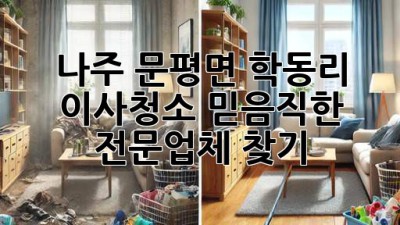 나주 문평면 학동리 이사청소: 믿음직한 전문업체 찾기