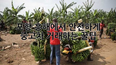 포항 흥해에서 안전하게 중고차 거래하는 꿀팁 🚗✨